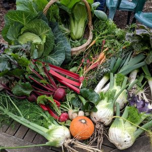 Winter vegetables at Pentridge