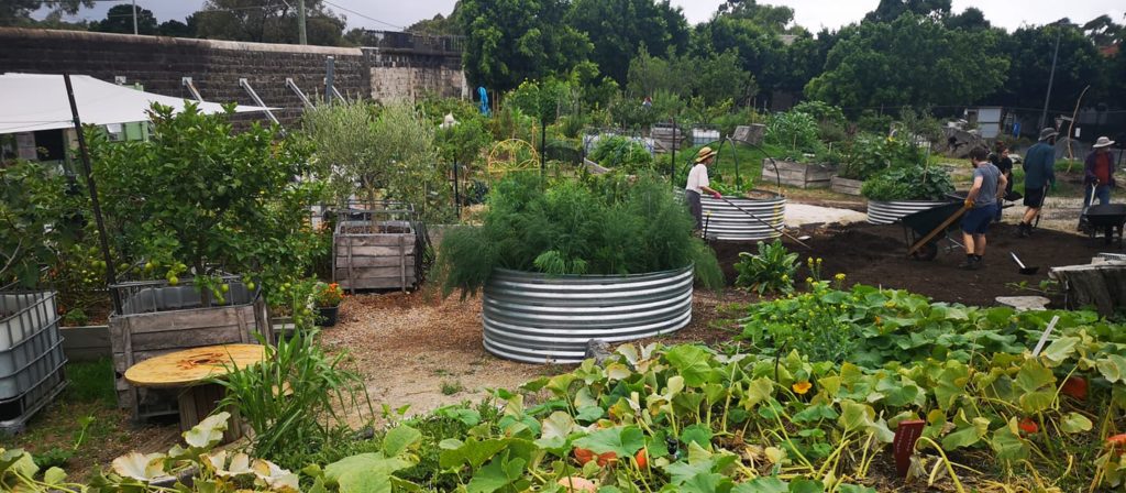 A view of a rolladuct and garden bed at pentridge community garden