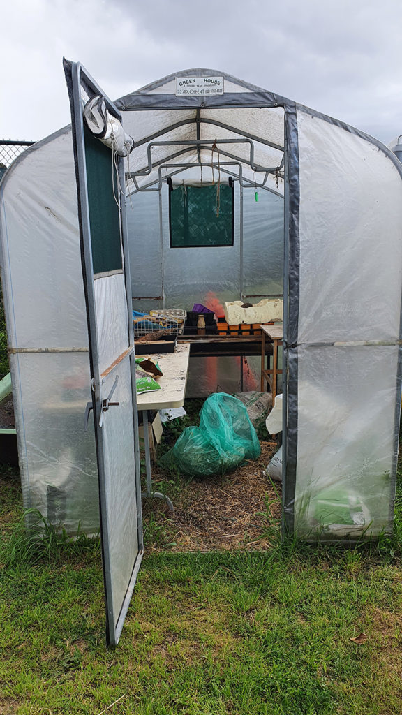 Greenhouse