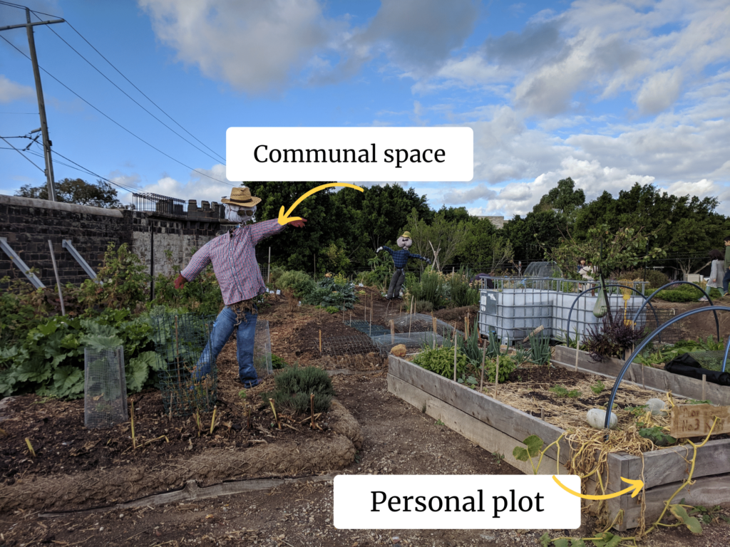 Garden beds at Pentridge