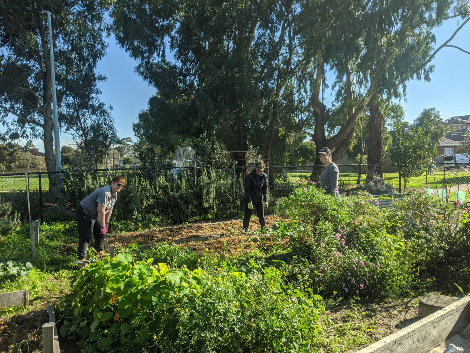 Call for volunteer communal garden leaders at WBCG!