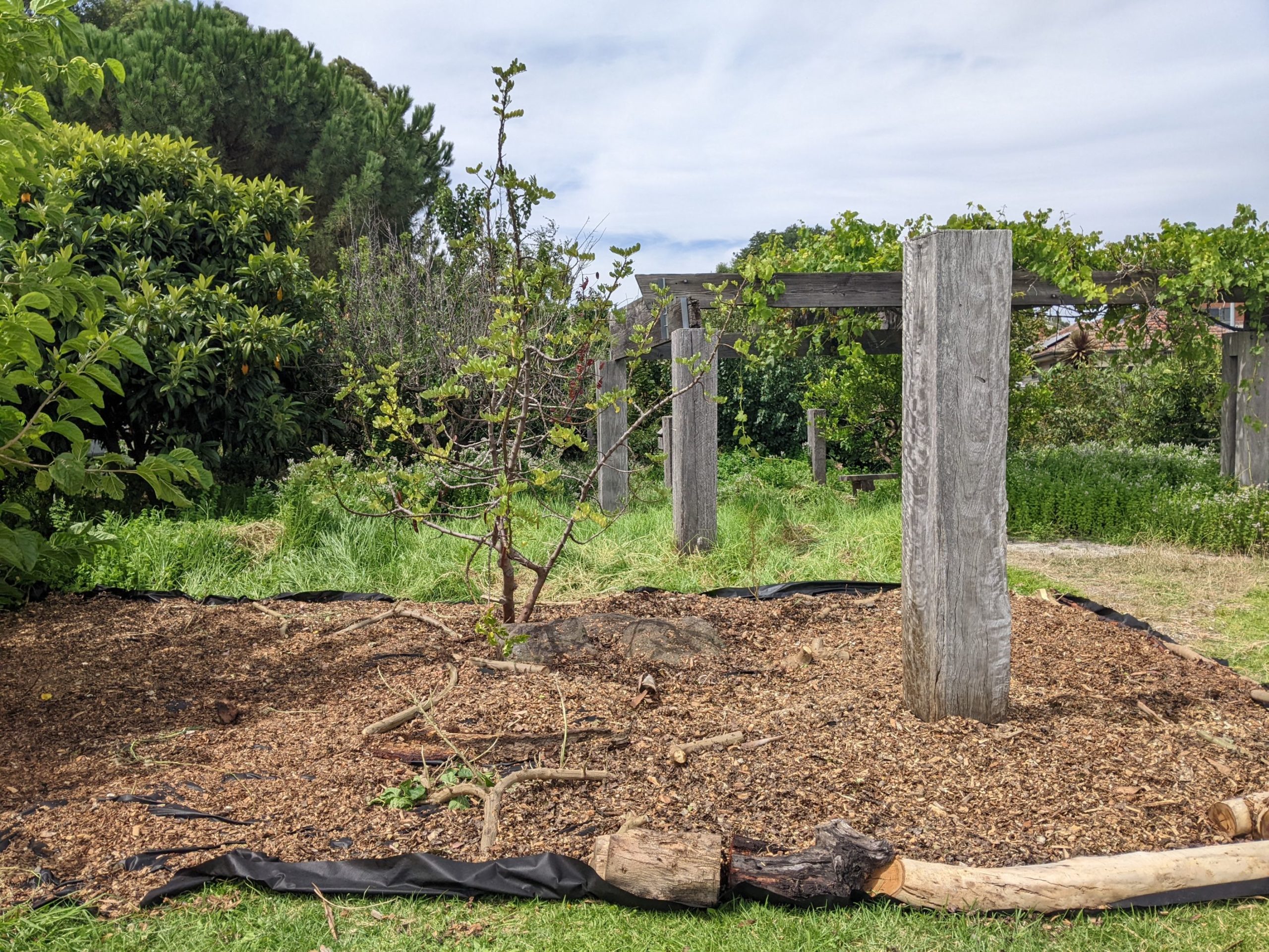 Food Forest working bee