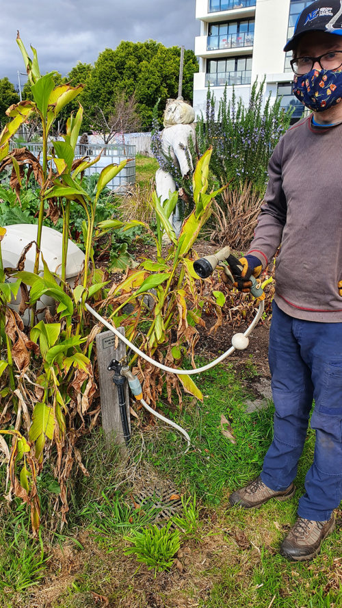 20210829_132124 Image of person holding hose connected to non-drinking tap