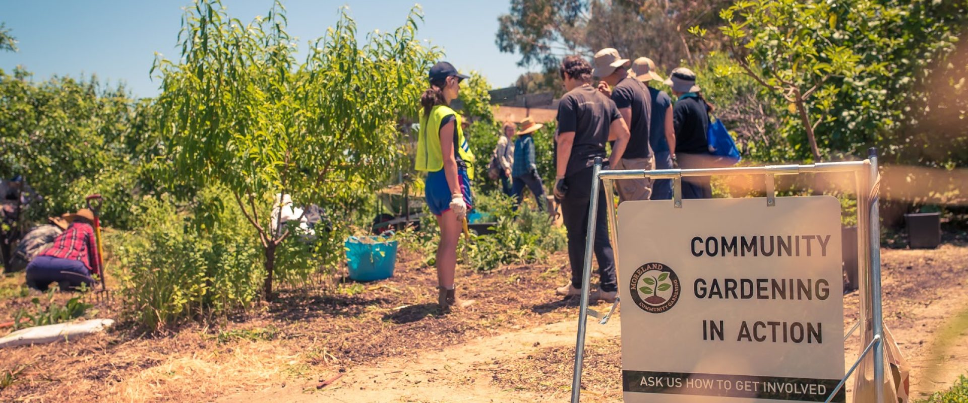 Community gardening